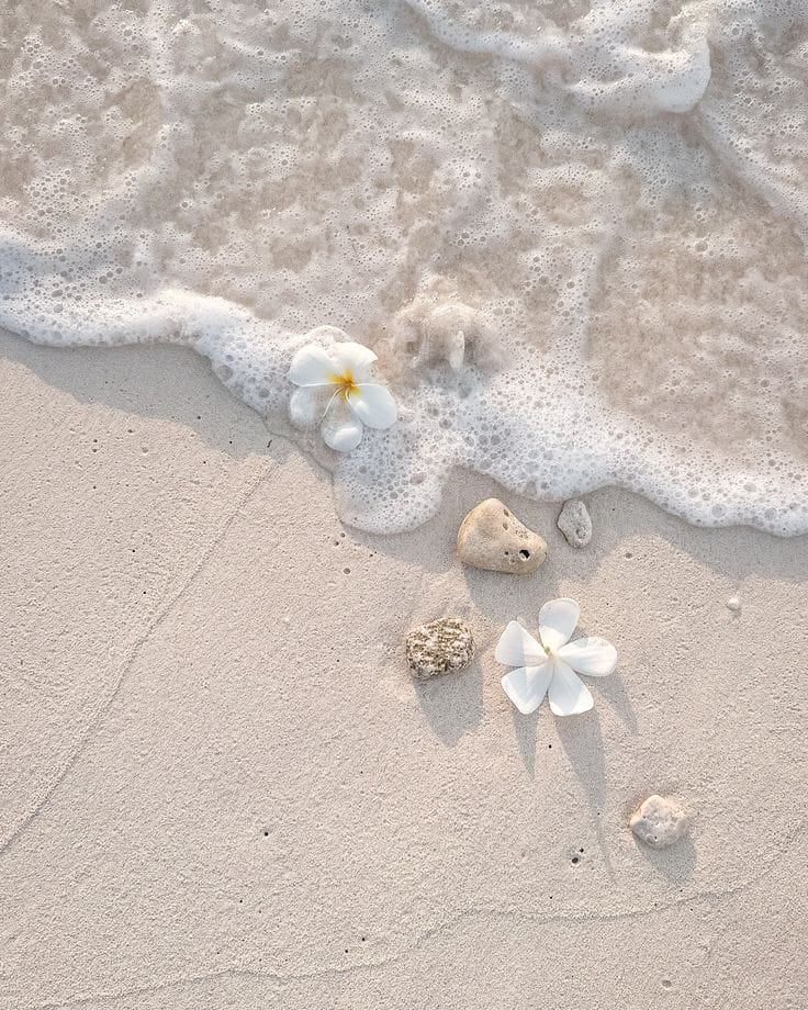 Authentic Goa: Off-Season Experiences You’ll Love