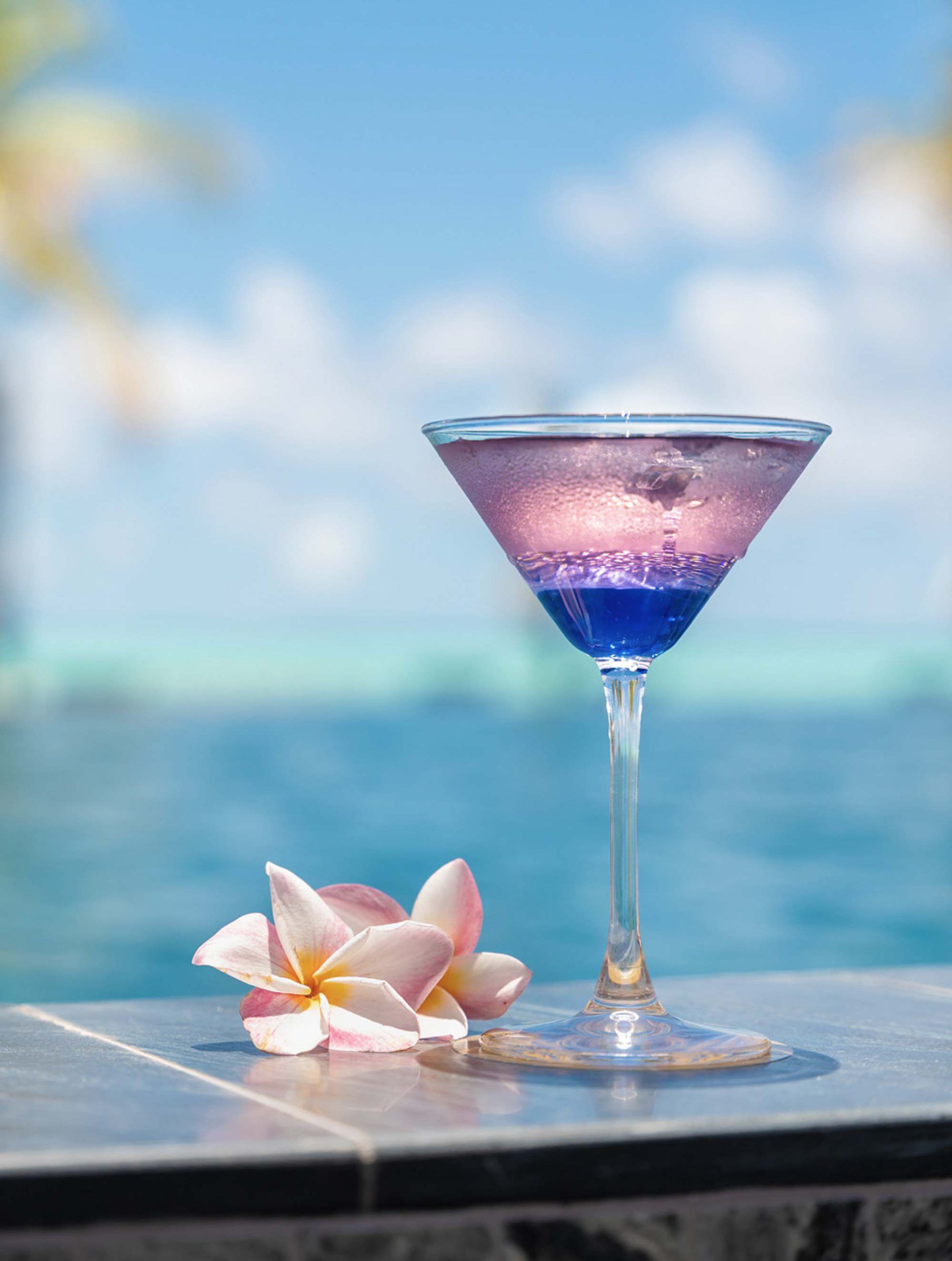 Splash Bar