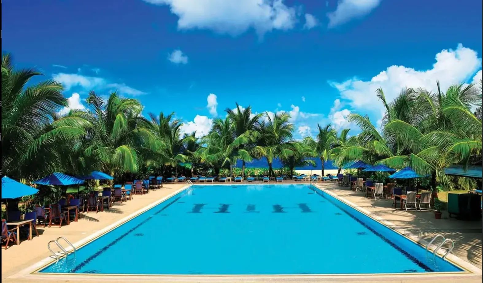 Black Friday Sale: 30%