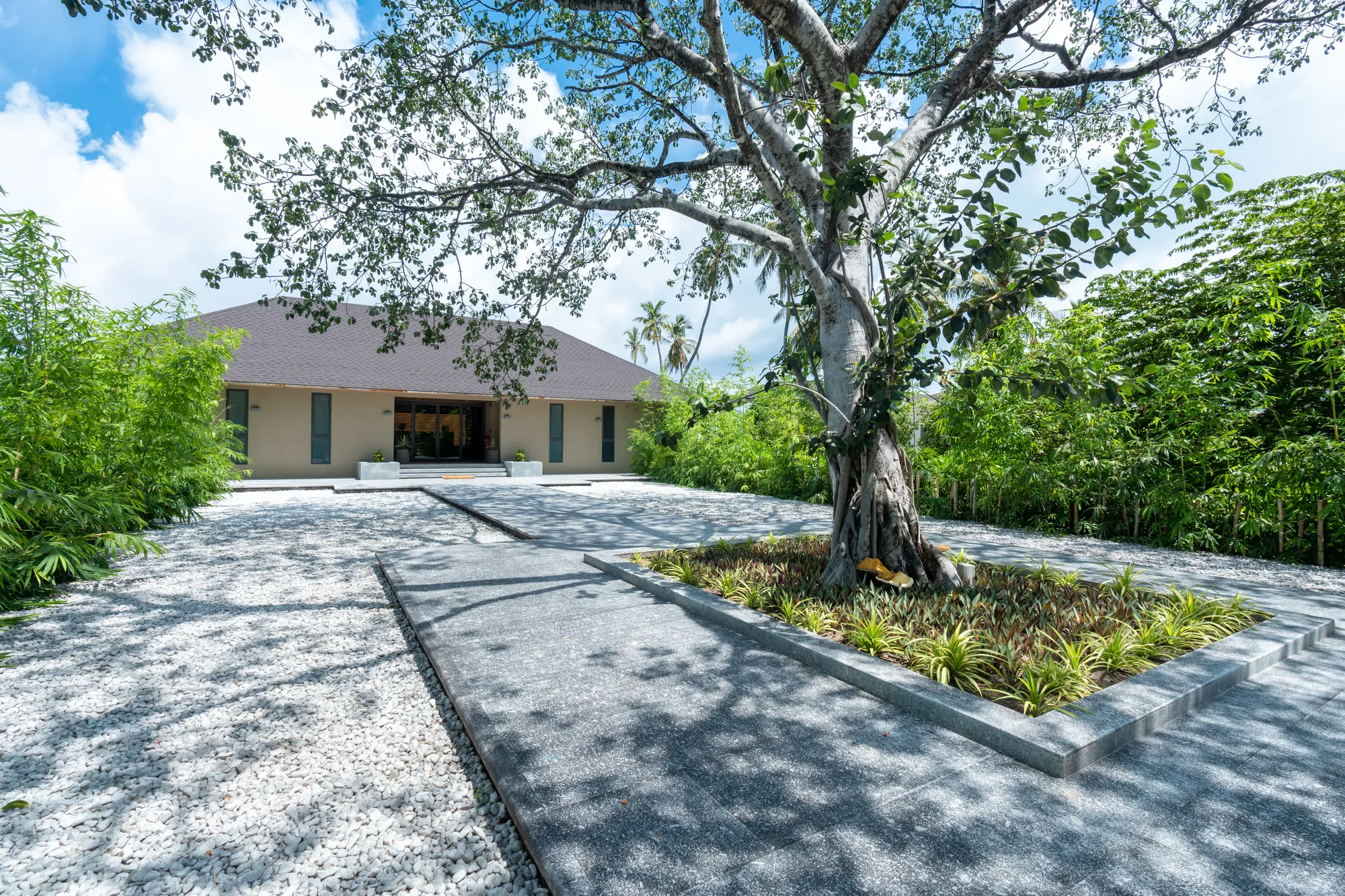Wellness image 4