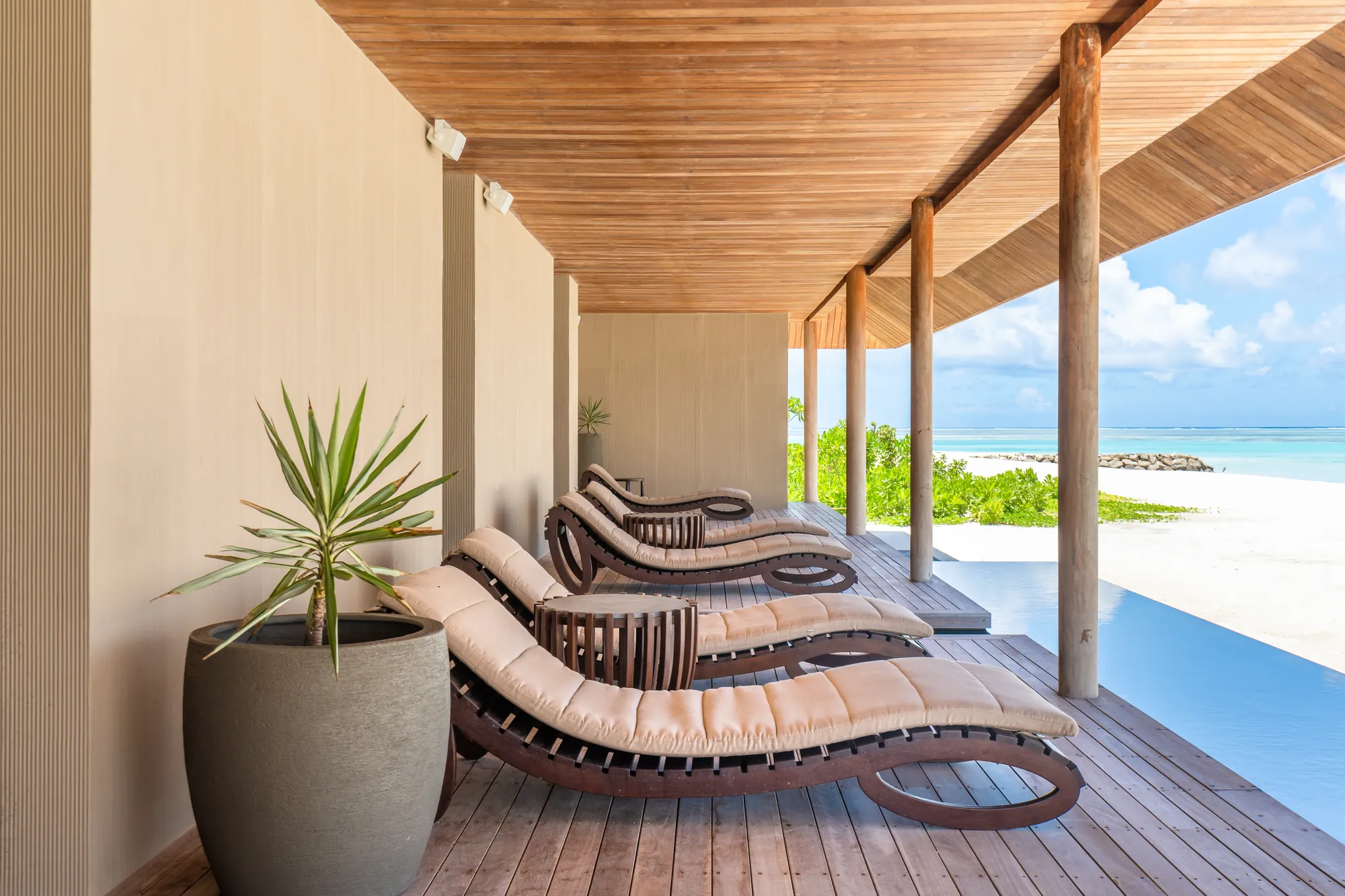 Wellness image 3