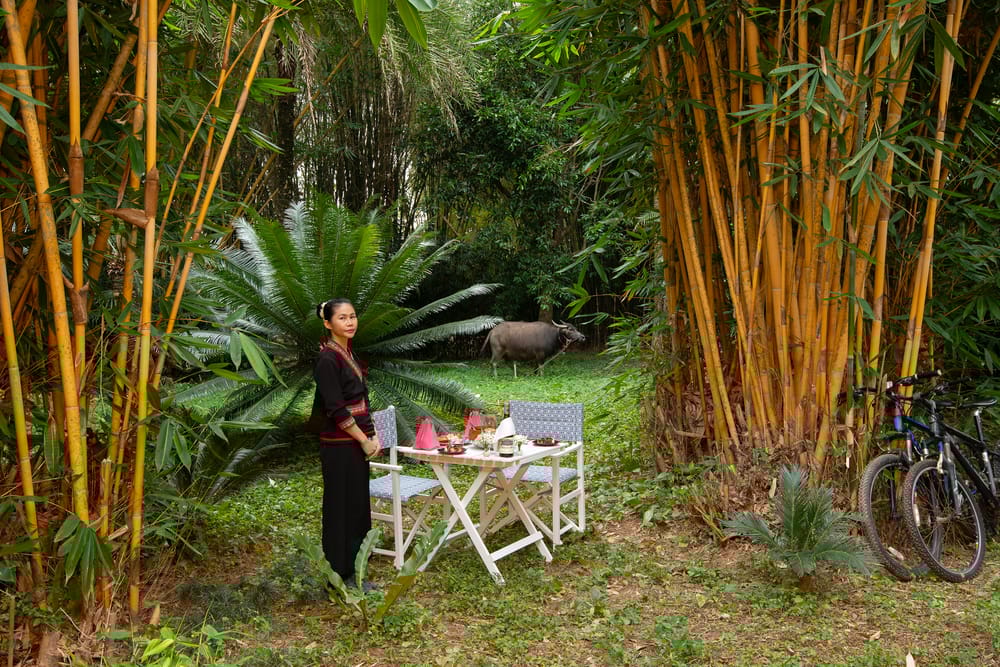 Experiences image 10