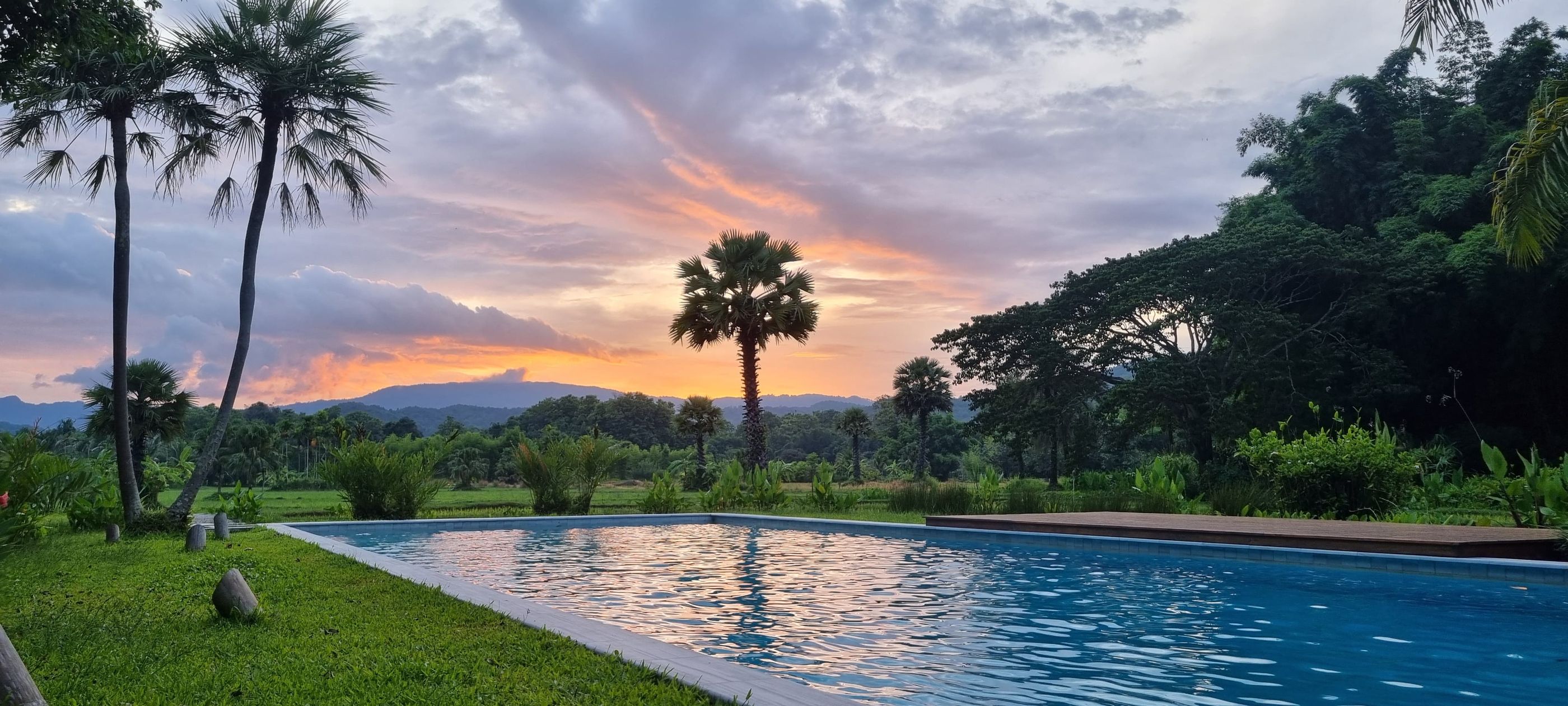 Exquisite Stays, Bespoke Services & Unforgettable Tropical Retreats