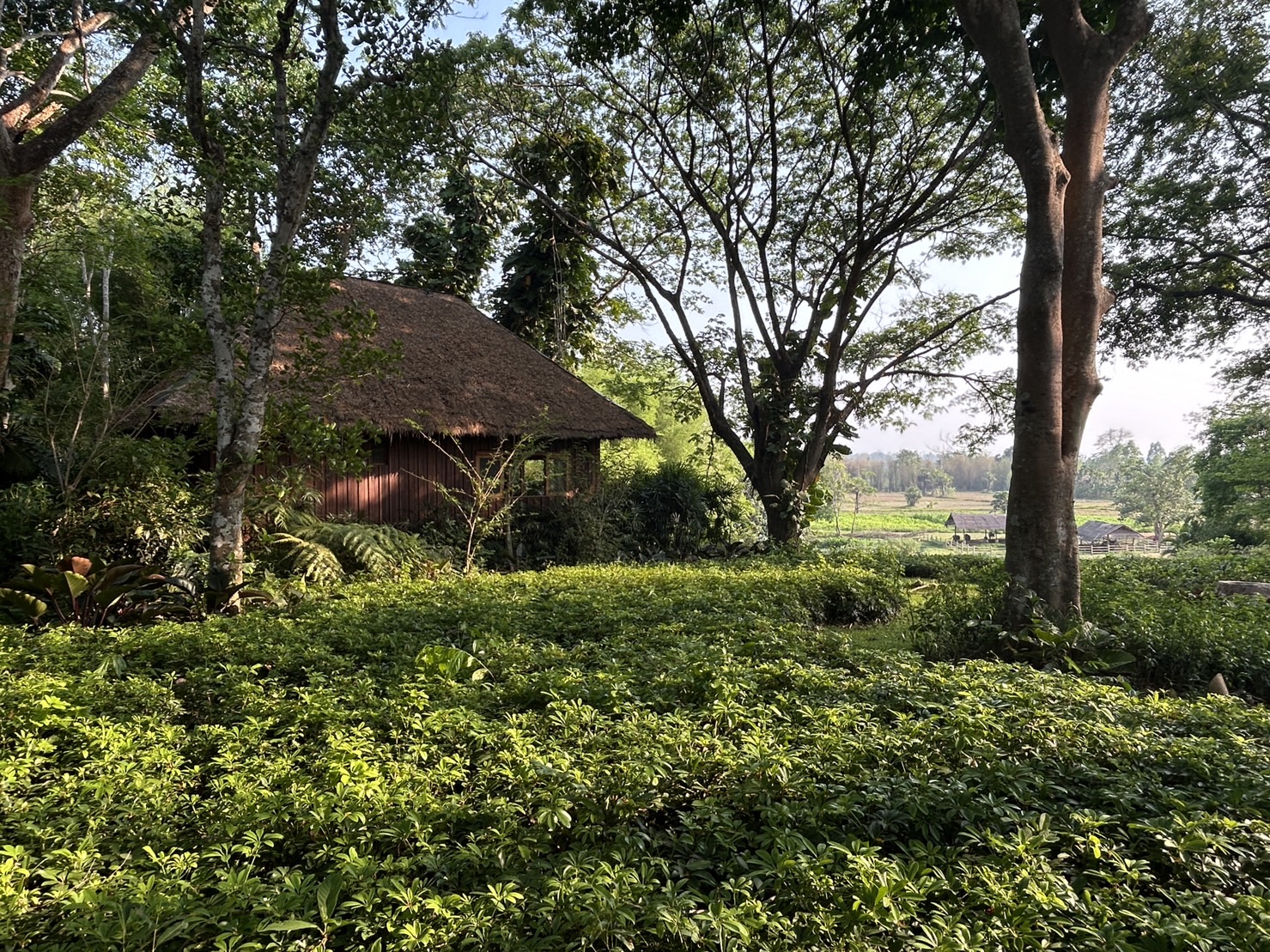 Villa view 2