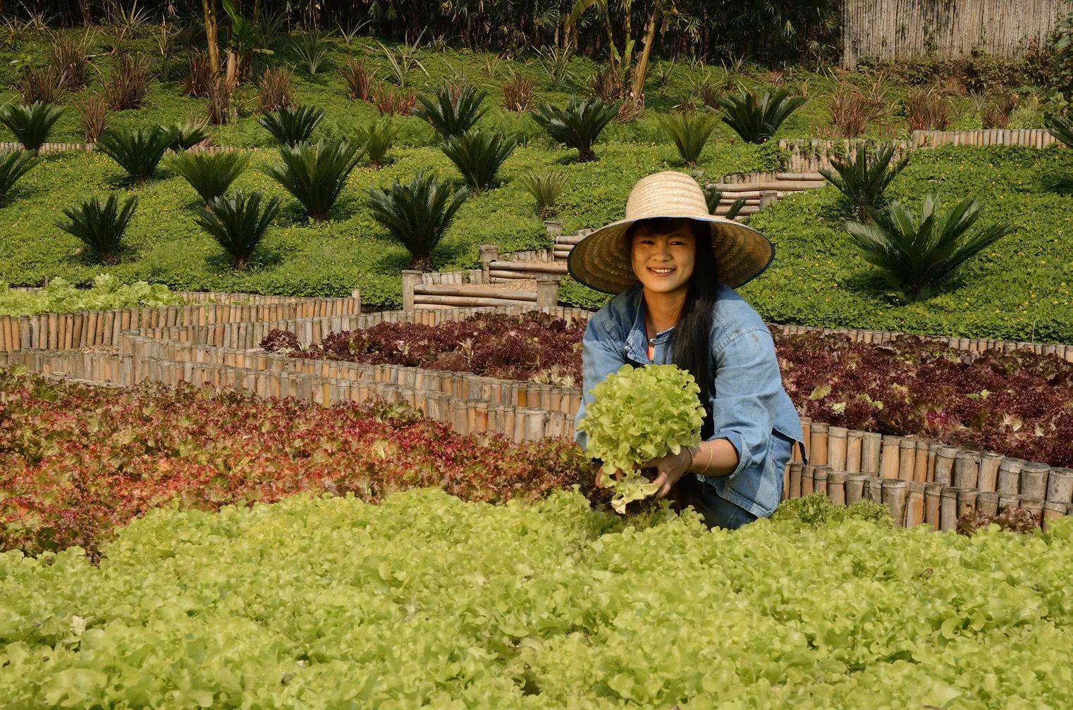 Local & Ethical Sourcing