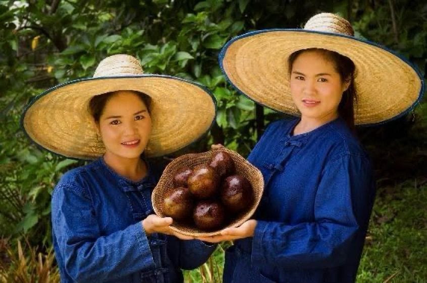 Local & Ethical Sourcing