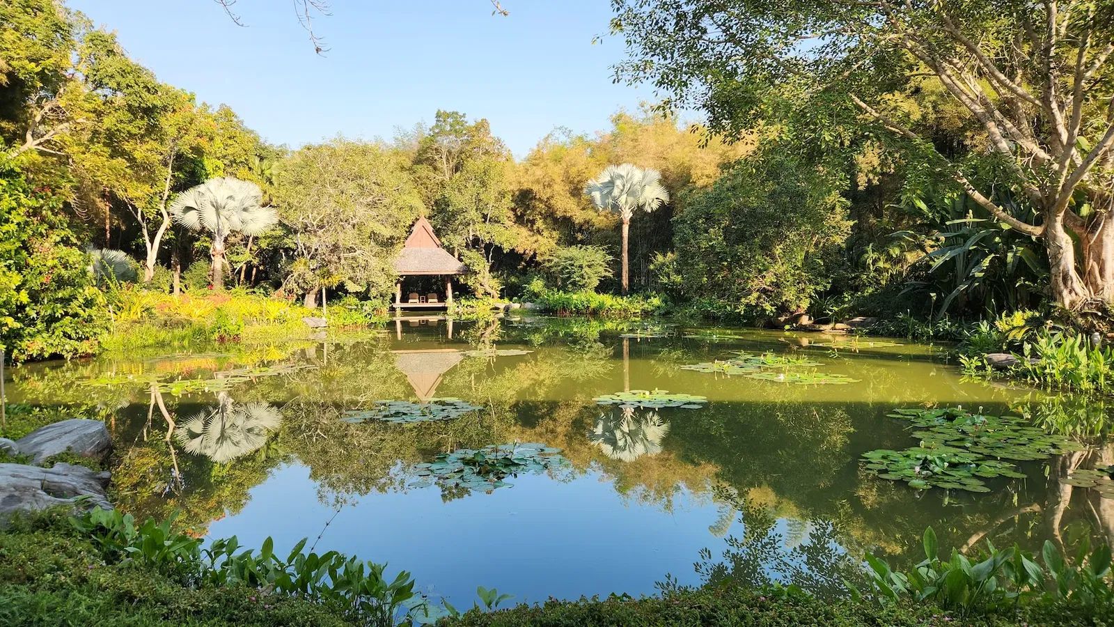 On-Site Organic Gardens