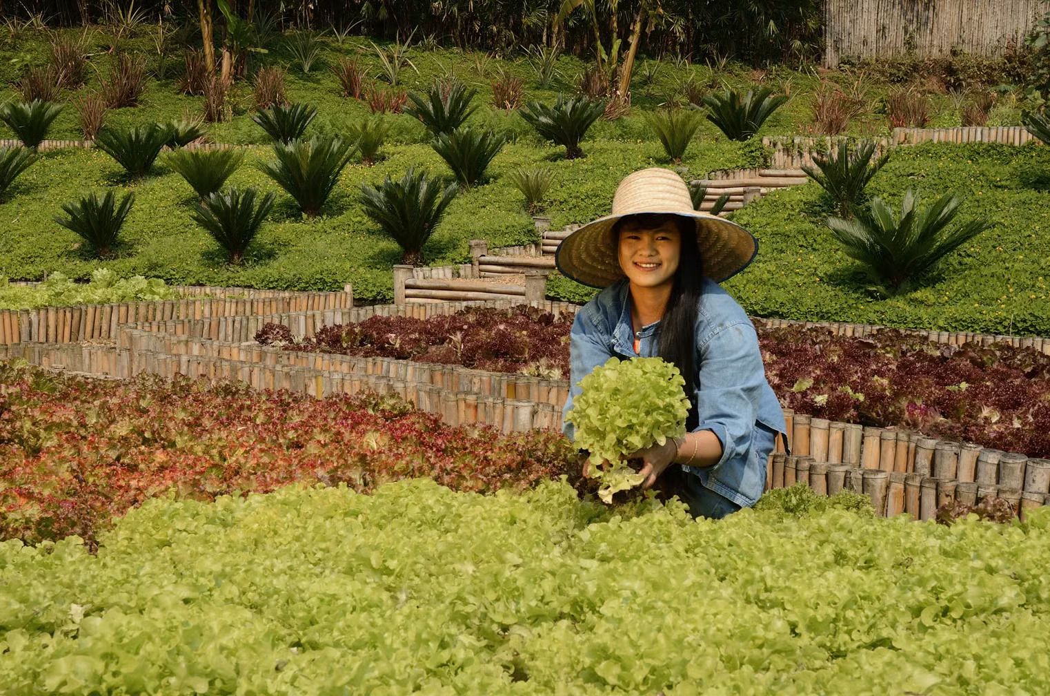 On-Site Organic Gardens