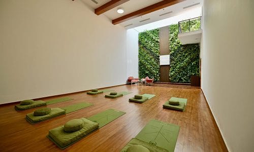 Lifestyle Asia