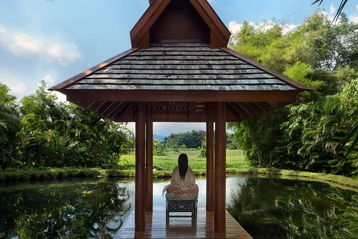Meditation