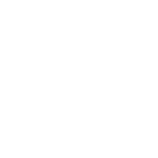 Revenue Decisions