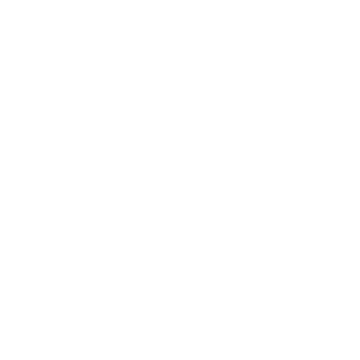 Business Intelligence