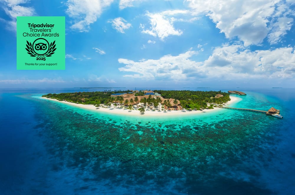 Tripadvisor Travelers’ Choice Award – 2025