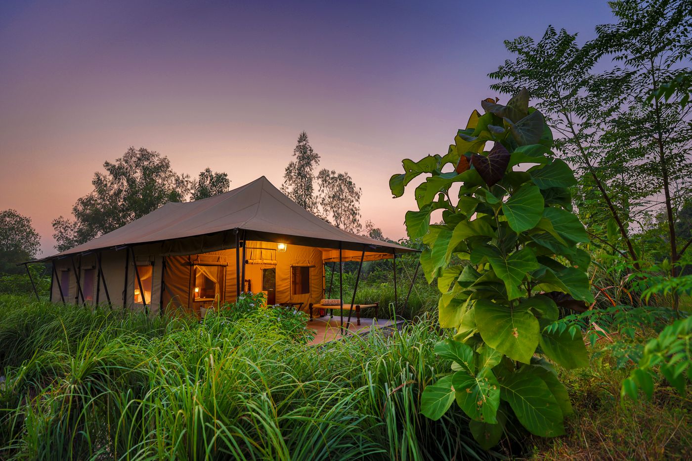 colection Aalia Jungle Retreat & Spa