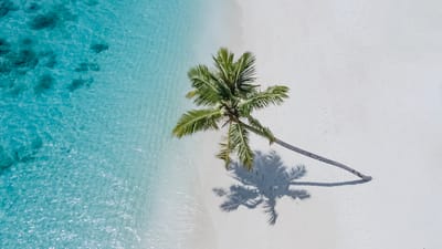 reethi faru resort gallery image 21