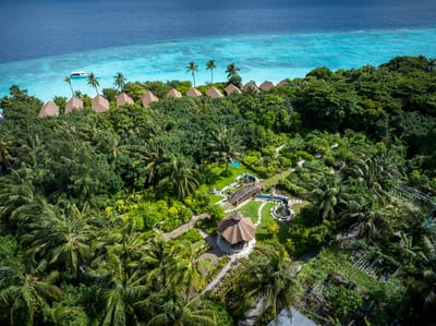 reethi faru resort gallery image 6