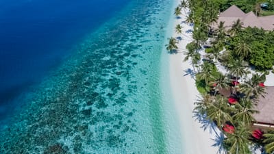 reethi faru resort gallery image 17