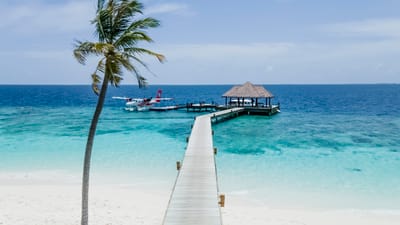 reethi faru resort gallery image 15