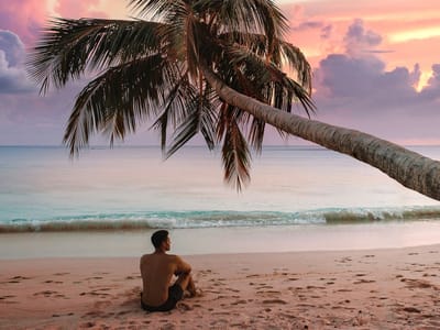 reethi faru resort gallery image 8