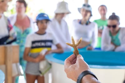 reethi faru resort gallery image 60