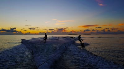 reethi faru resort gallery image 50