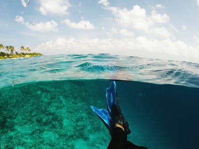 reethi faru resort gallery image 41