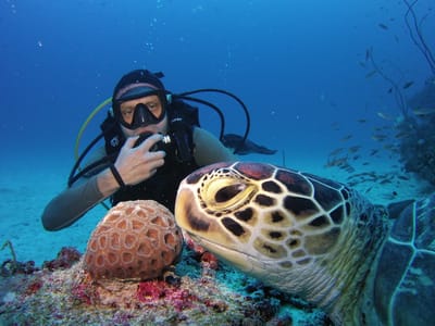 reethi faru resort gallery image 28