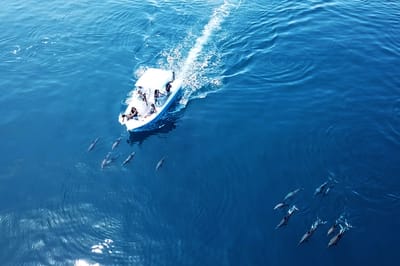 reethi faru resort gallery image 30