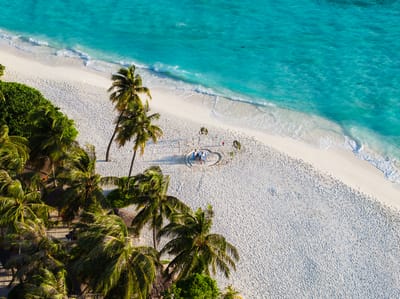 reethi faru resort gallery image 253