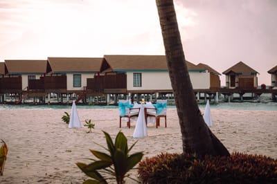 reethi faru resort gallery image 251