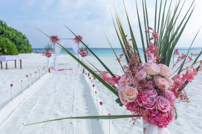 reethi faru resort gallery image 247