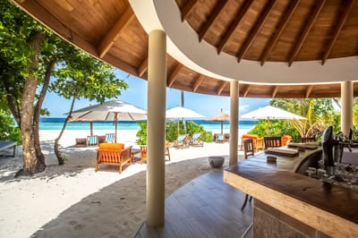 reethi faru resort gallery image 229