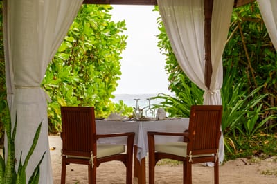 reethi faru resort gallery image 218