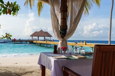 reethi faru resort gallery image 212