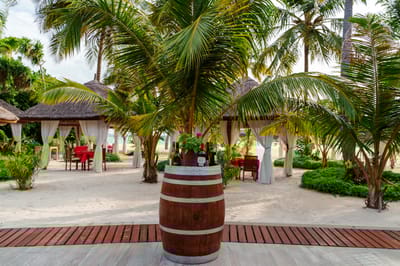 reethi faru resort gallery image 191