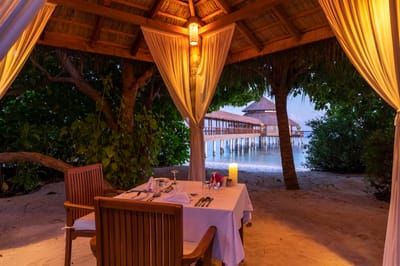 reethi faru resort gallery image 239