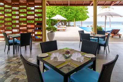 reethi faru resort gallery image 209