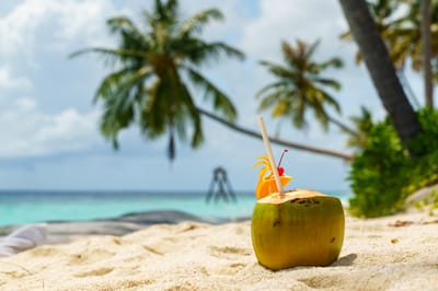 reethi faru resort gallery image 214