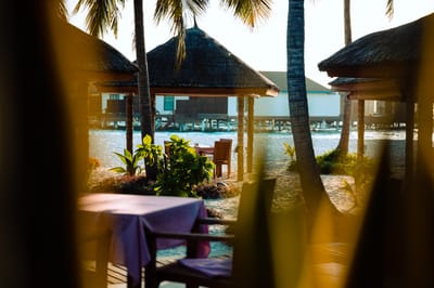 reethi faru resort gallery image 235