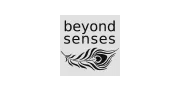 beyondsenses.de
