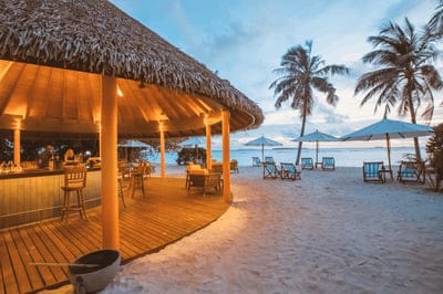 Vita notturna in Paradiso: intrattenimento serale al Reethi Faru