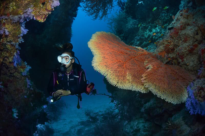 Tauchen und Schnorcheln