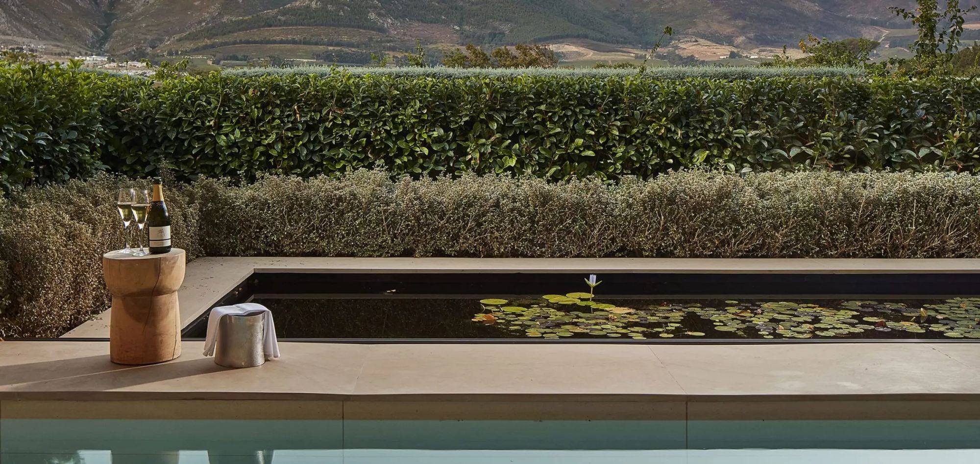 Healing Earth South Africa