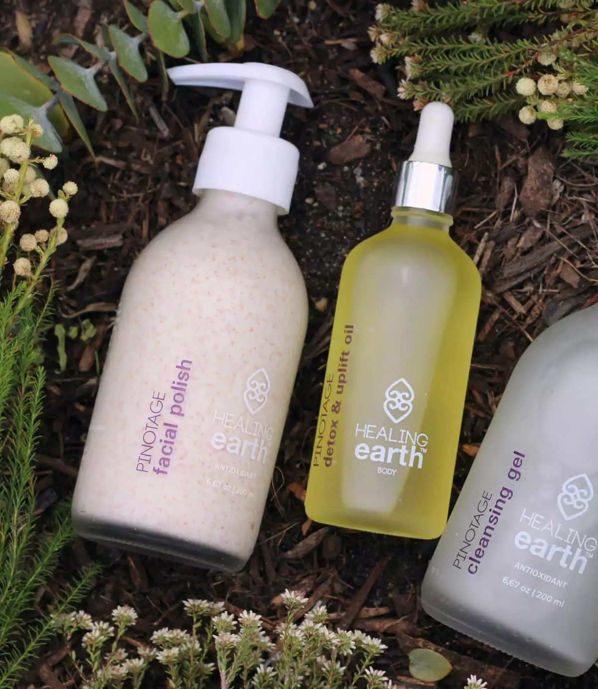 THE HEALING EARTH STORY