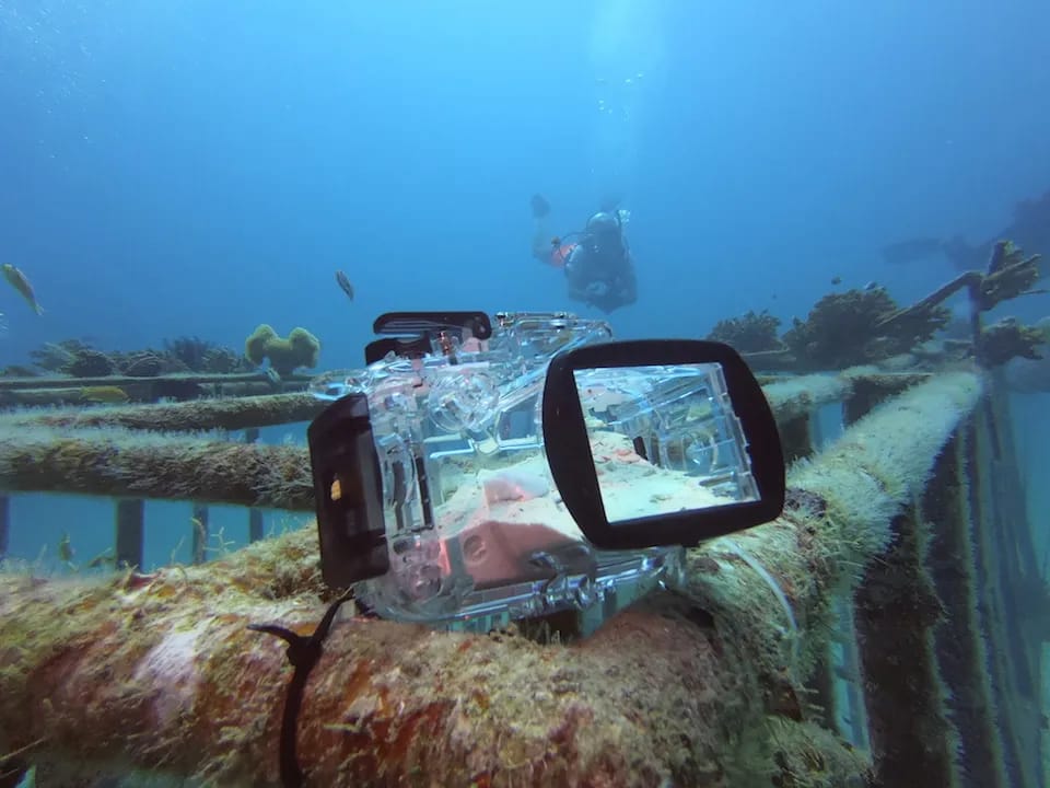 Underwater Wonders: Dive into Paradise at Reethi Faru Resort - A Haven for Diving Enthusiasts in the Maldives