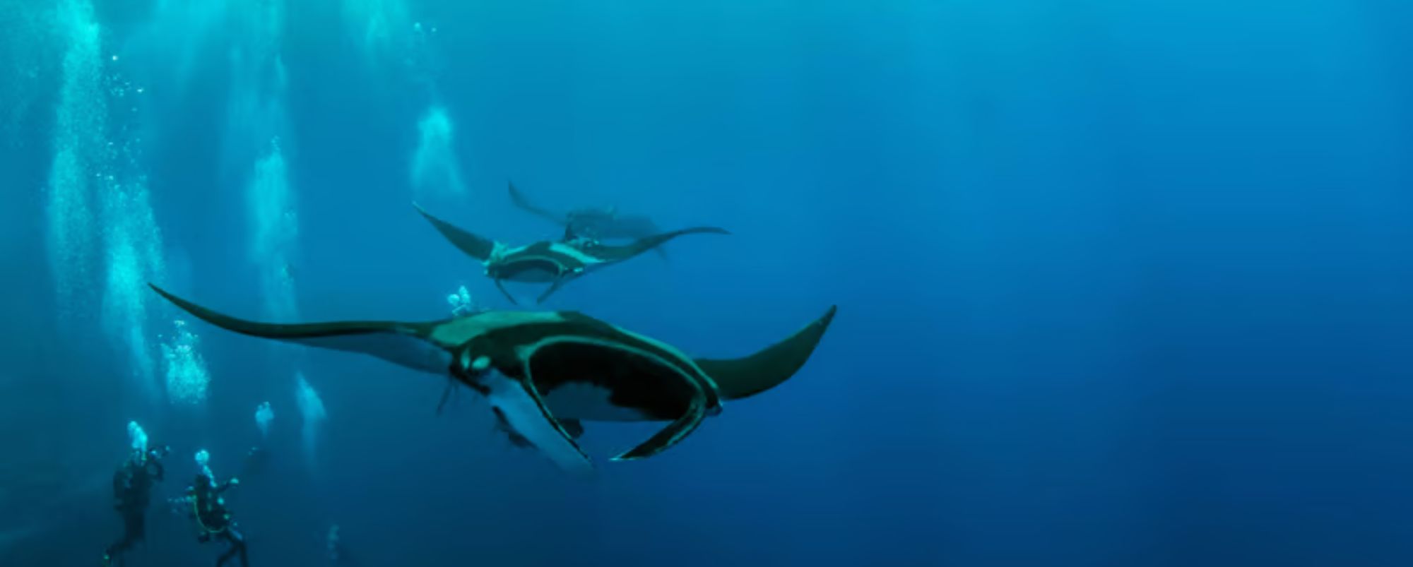 Eco-Friendly Maldives Resorts: Why Reethi Faru Sets the Standard for Sustainable Luxury
